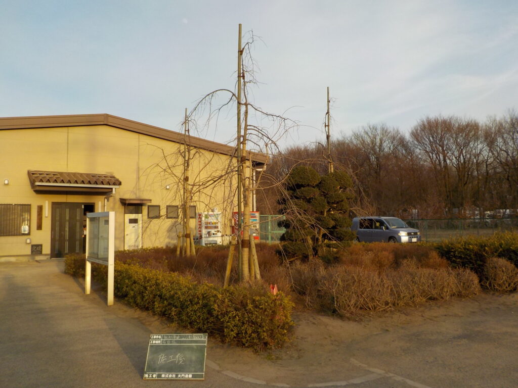 三芳町 埼玉県トラック協会 記念樹寄贈 施工後