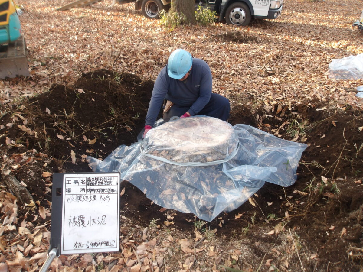 三芳町｜【維持管理】藤久保平地林ナラ枯れ伐採業務