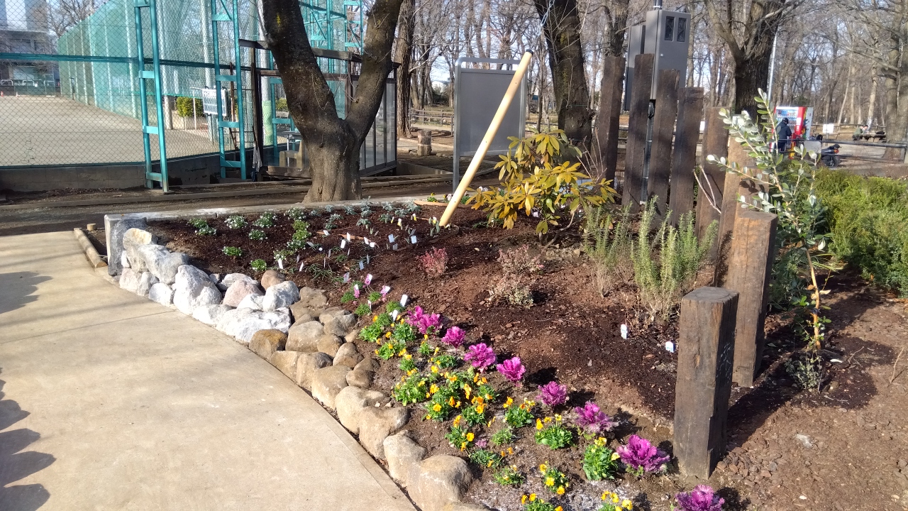 令和の森公園せせらぎ水辺広場【三芳町】(造園) 令和の森公園せせらぎ水辺広場【三芳町】(造園)