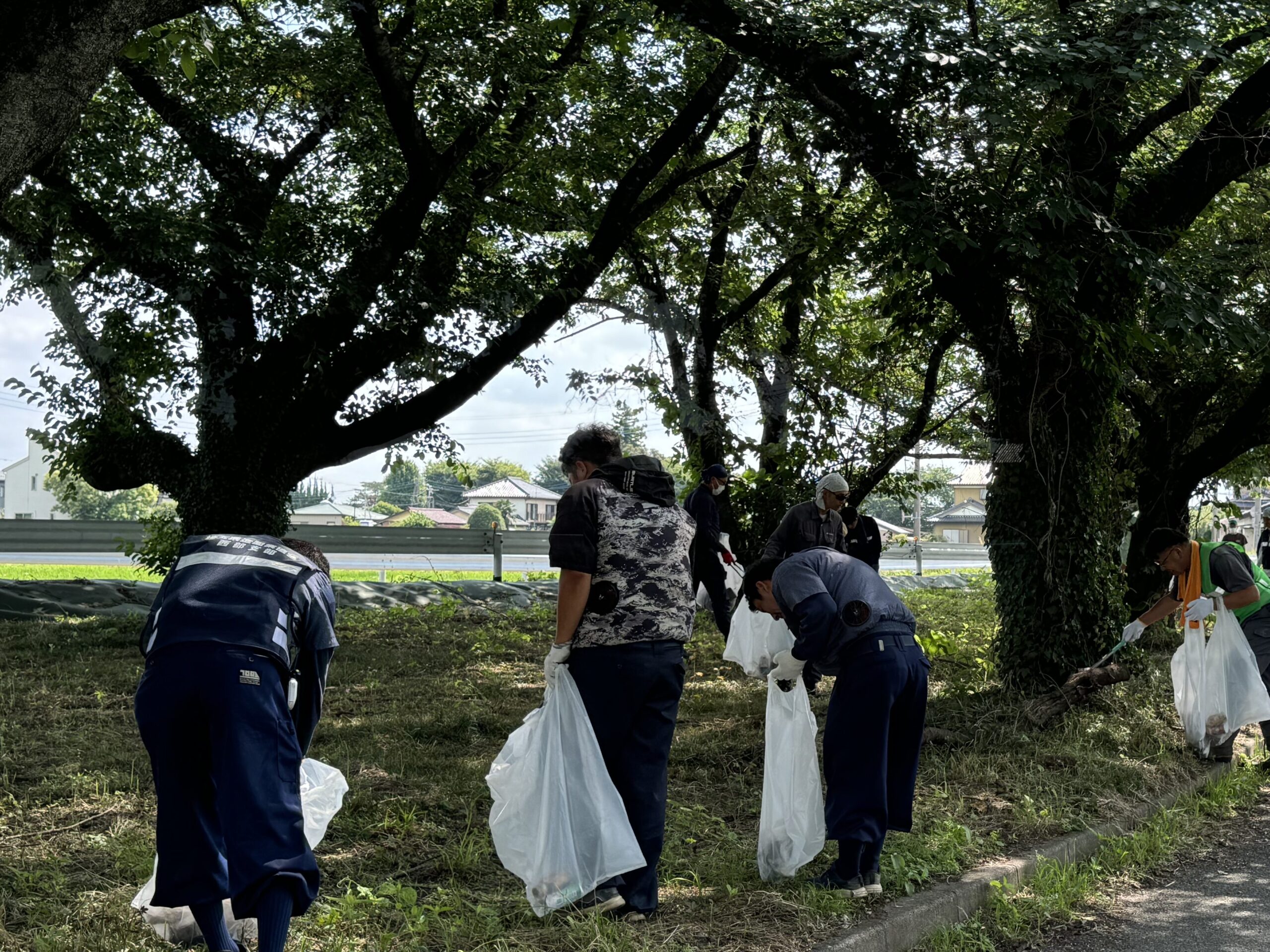 新河岸川放水路清掃ボランティア
