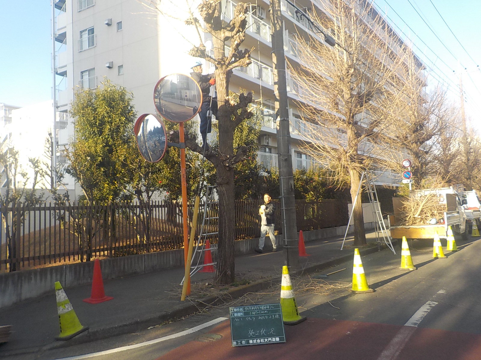 三芳町|【維持管理】街路樹剪定管理業務