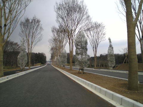 地方特定道路所沢堀兼狭山線1