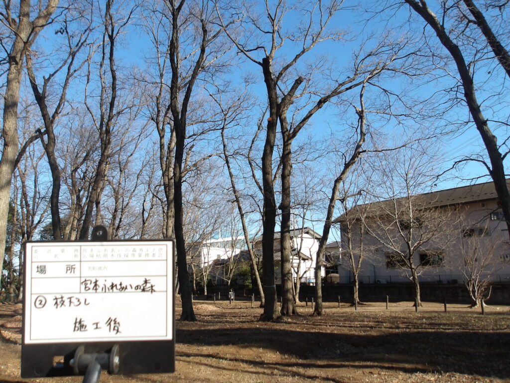 三芳町　維持管理　公園　支障枝　剪定　施工後