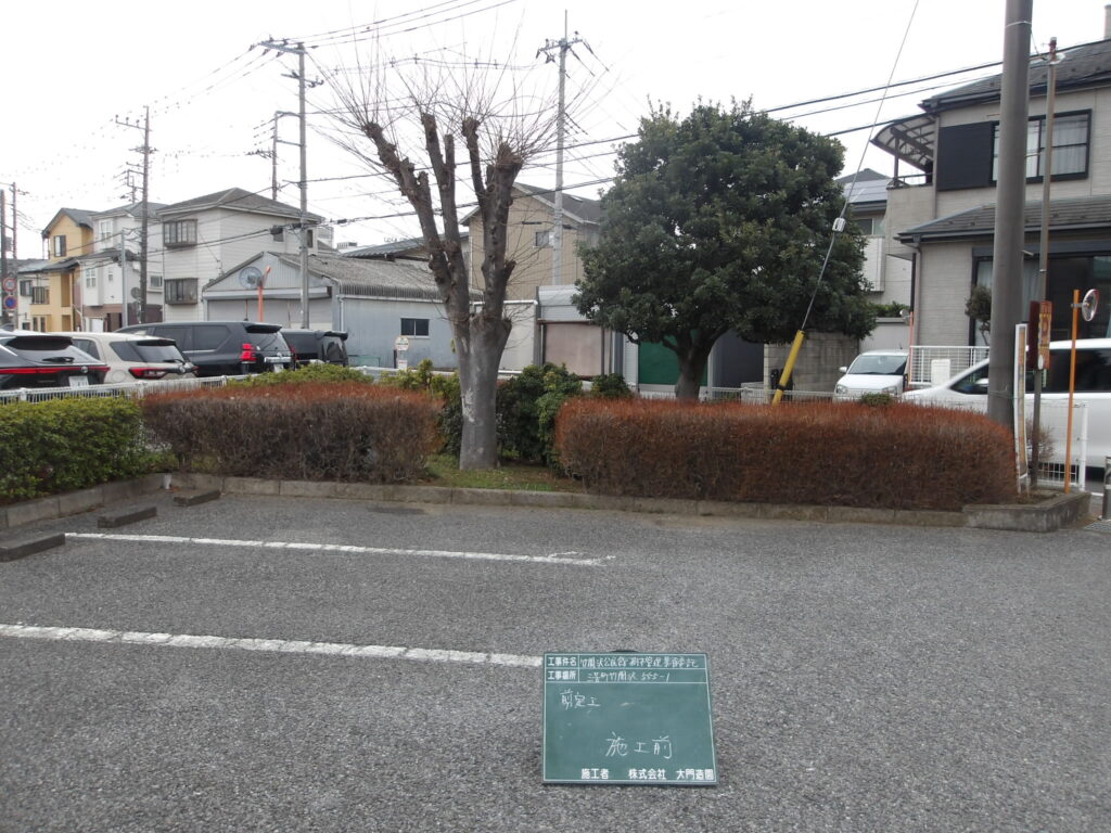 三芳町　剪定　作業前