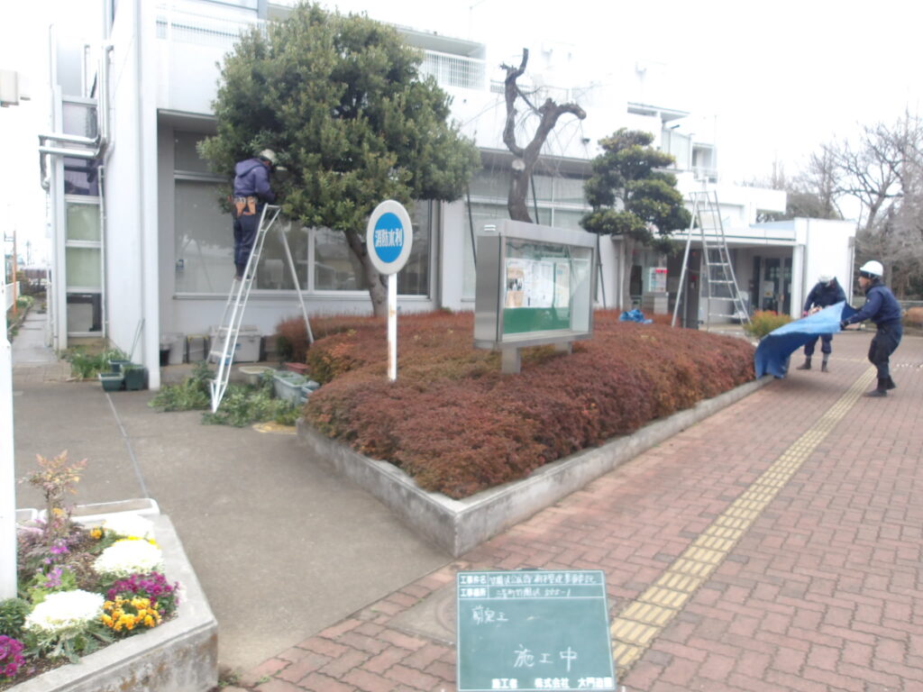 三芳町　剪定　作業中