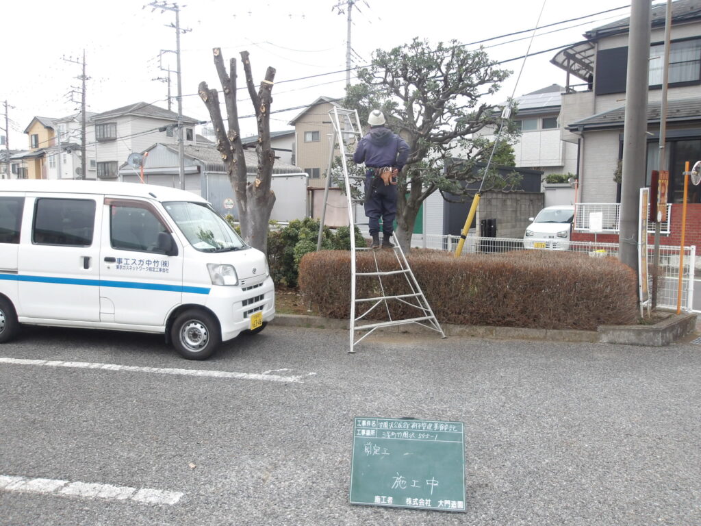 三芳町　剪定　作業中