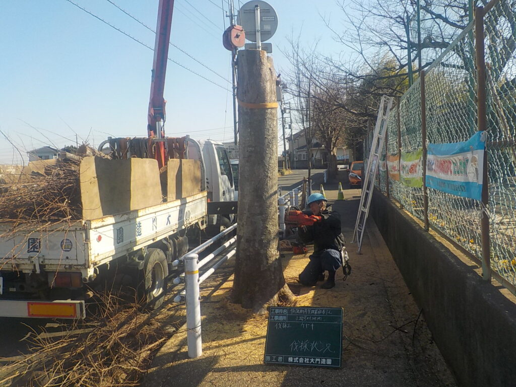 三芳町|【土木工事】町道歩道修繕 三芳町 街路樹 伐採 施工中