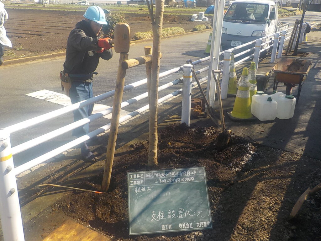 三芳町|【土木工事】町道歩道修繕 三芳町 街路樹 更新 支柱設置