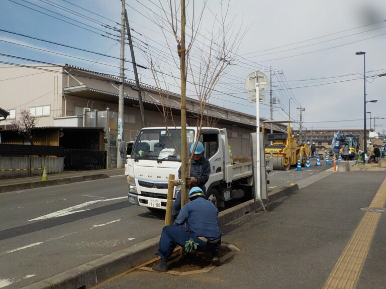 三芳町　造園工事　街路樹植栽
