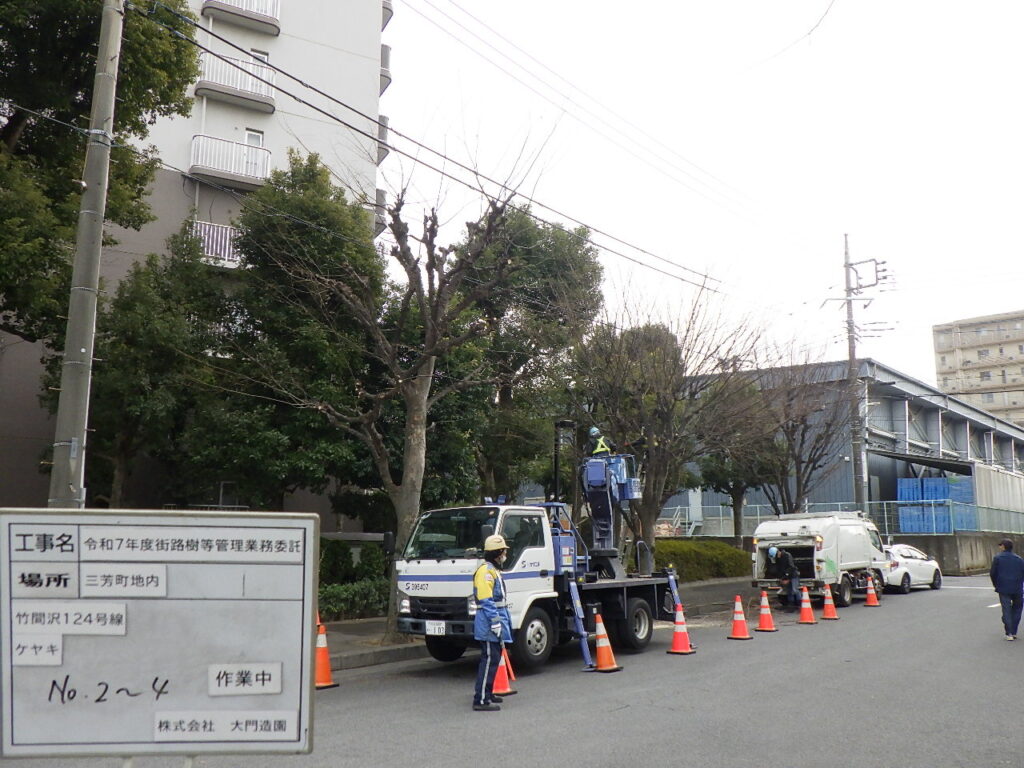 三芳町 維持管理 街路樹 剪定
