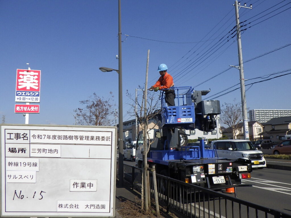 三芳町|【維持管理】街路樹剪定管理業務 dcp photo