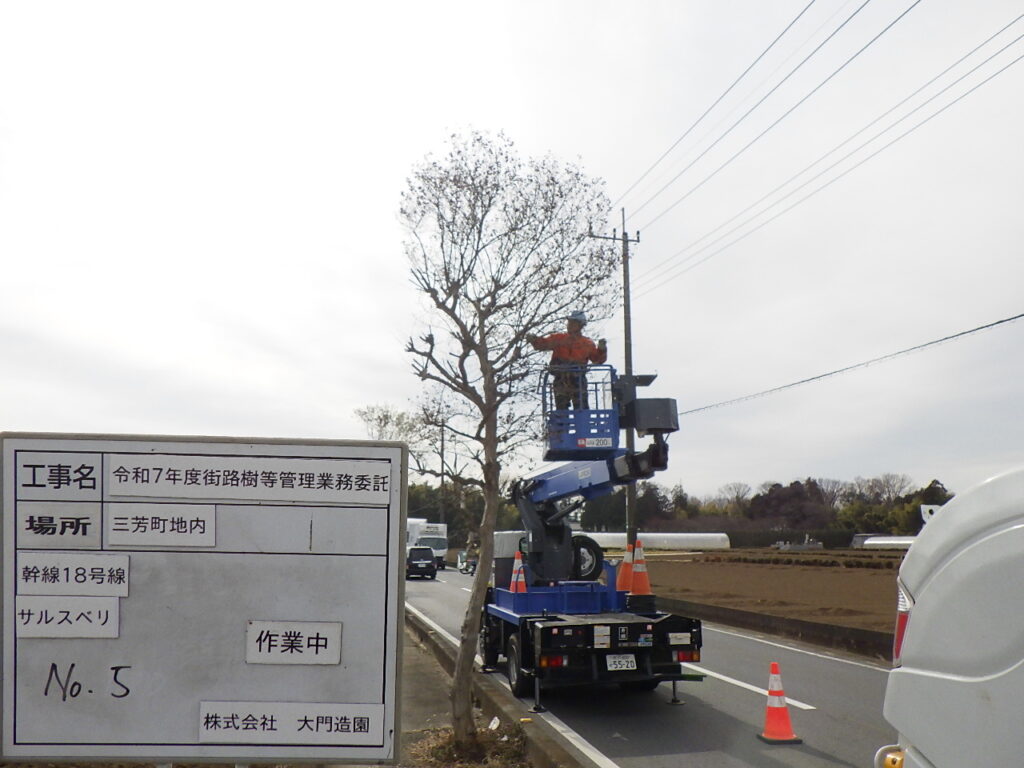 三芳町|【維持管理】街路樹剪定管理業務 dcp photo