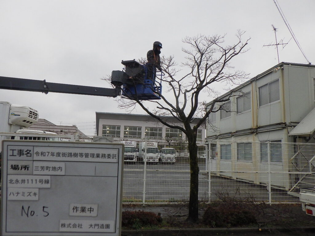 三芳町 維持管理 街路樹 剪定