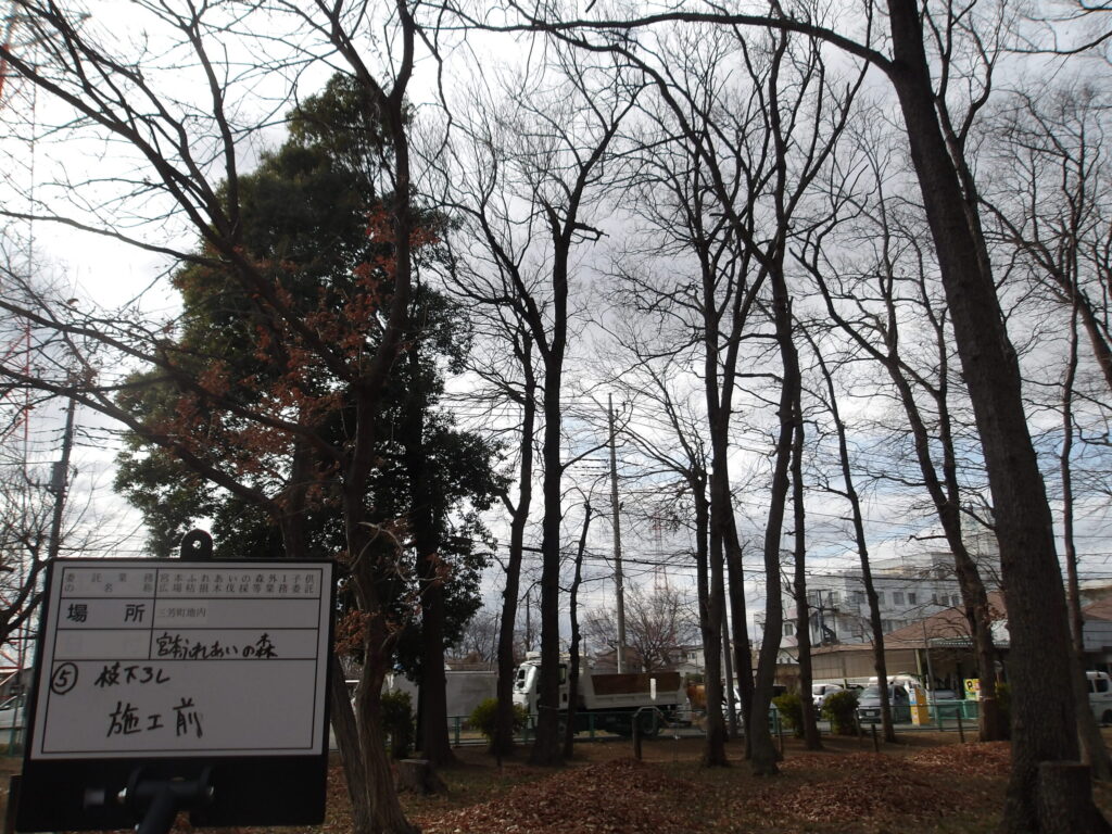 三芳町　維持管理　公園　支障枝　剪定　施工前