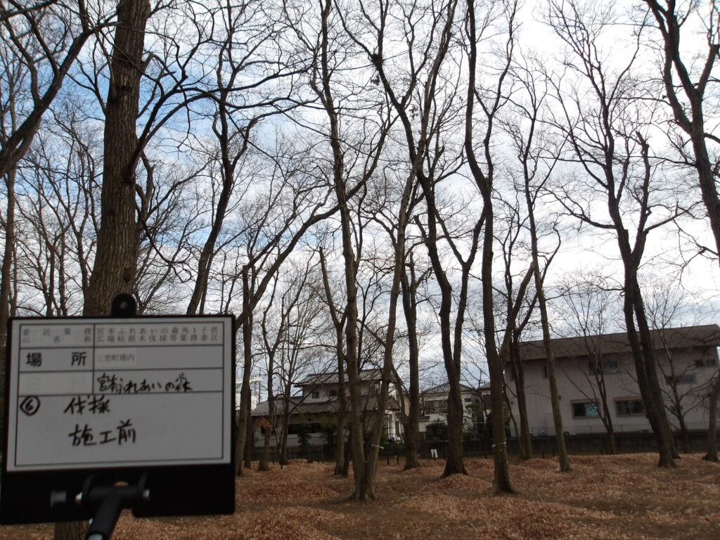 三芳町　維持管理　公園　支障枝　剪定　施工前