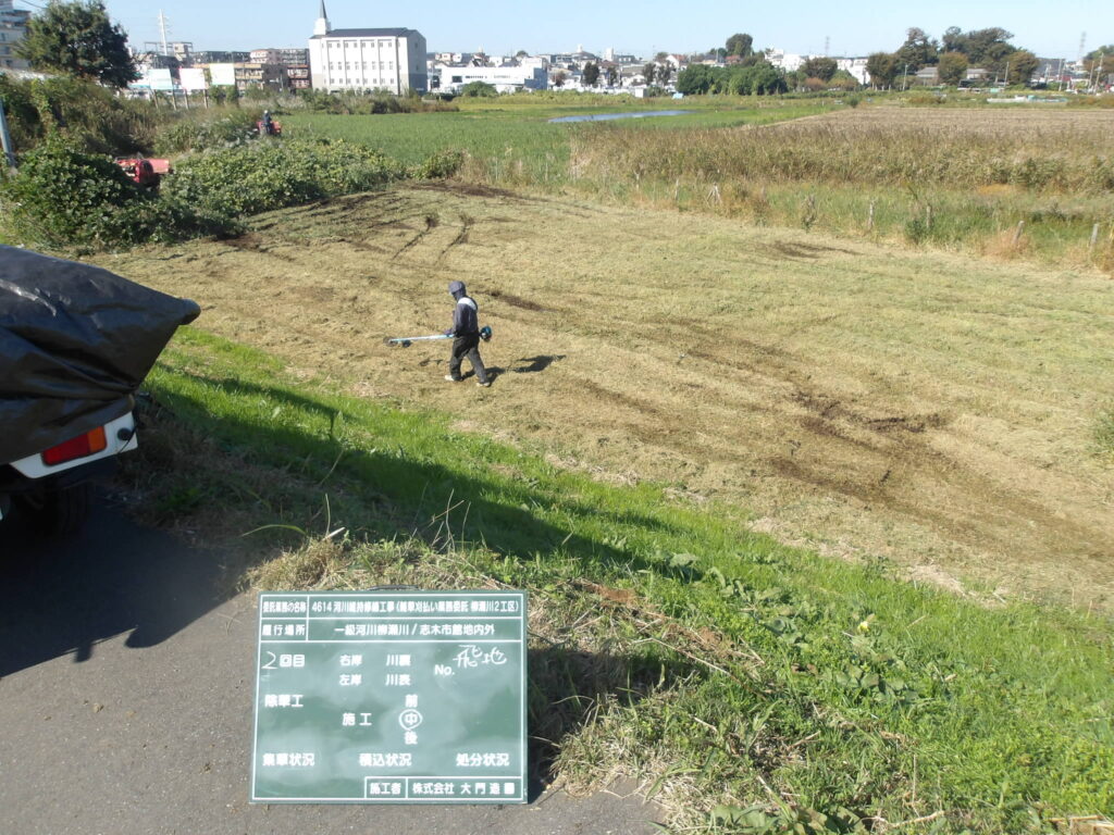 志木市　河川雑草刈払い作業　作業中