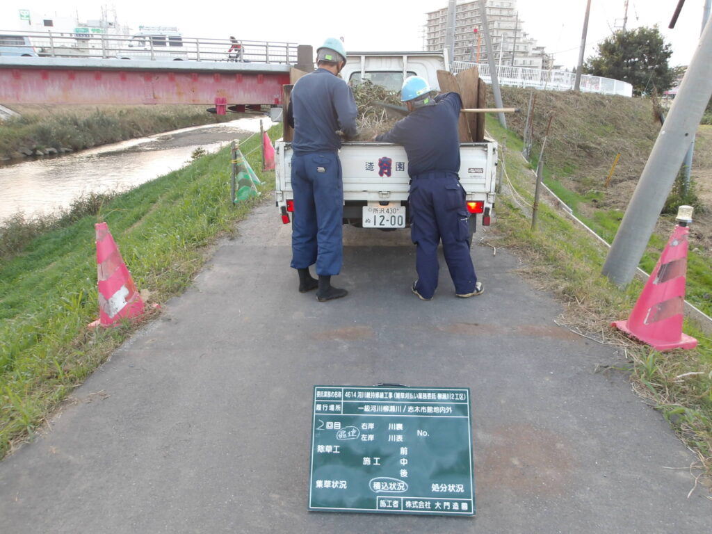 志木市 河川雑草刈払い作業 作業状況(人力積込搬出)