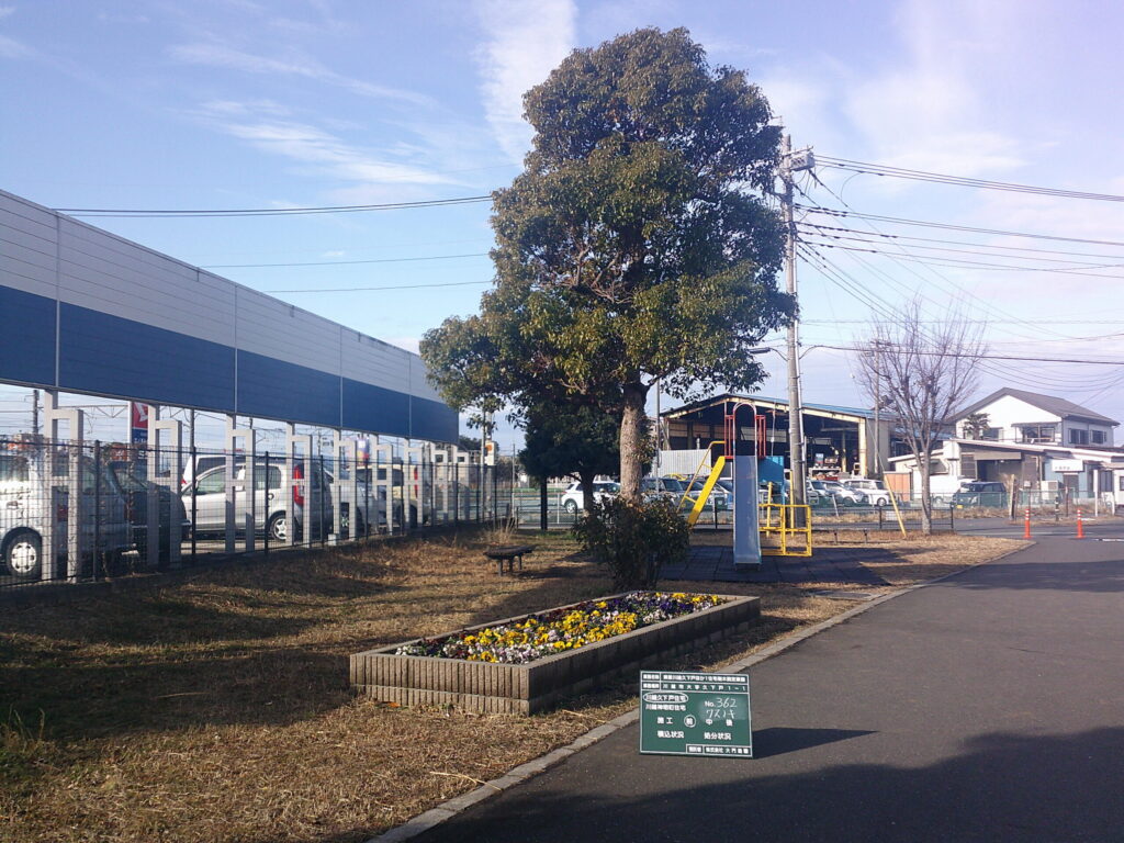 川越市　維持管理　集合住宅　樹木剪定　施工前