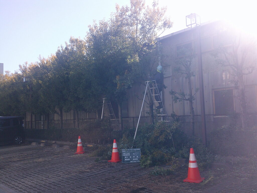 川越市　維持管理　集合住宅　樹木剪定　施工中
