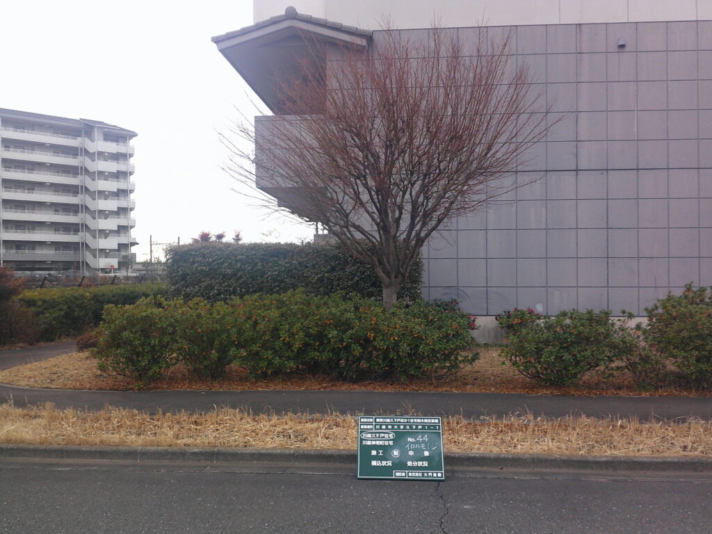 川越市　維持管理　集合住宅　樹木剪定　施工前