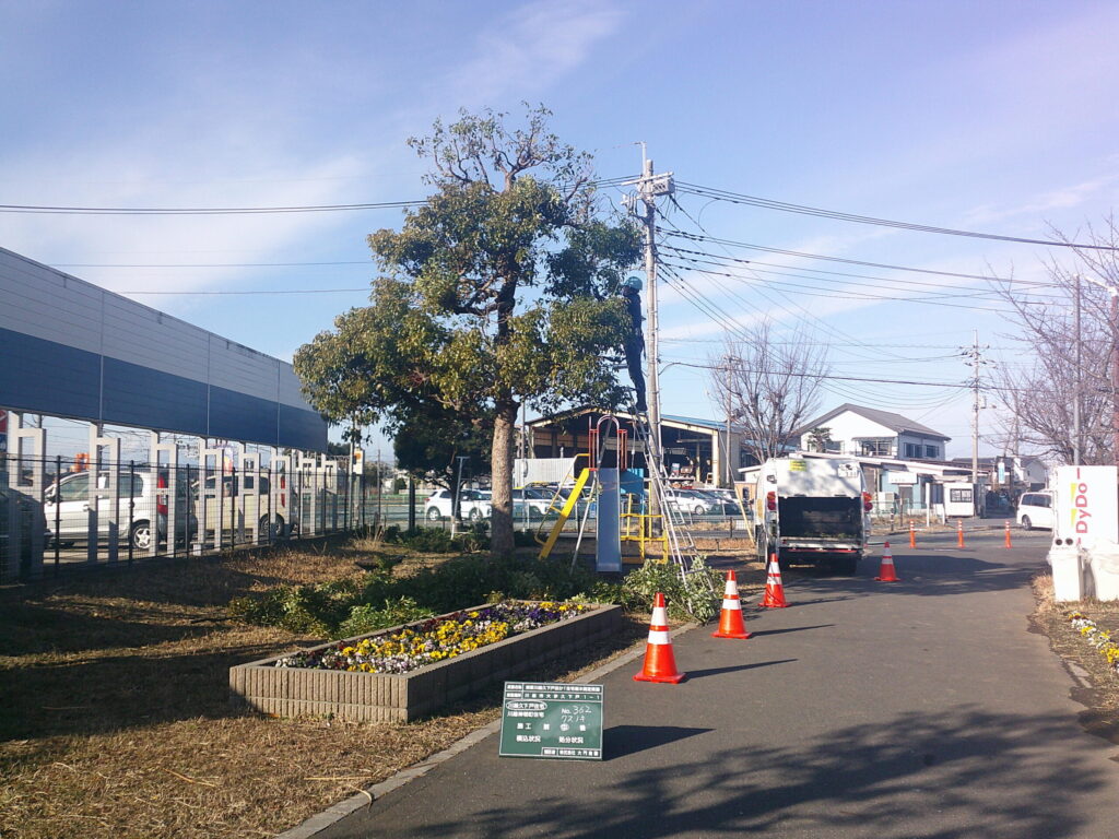 川越市　維持管理　集合住宅　樹木剪定　施工中