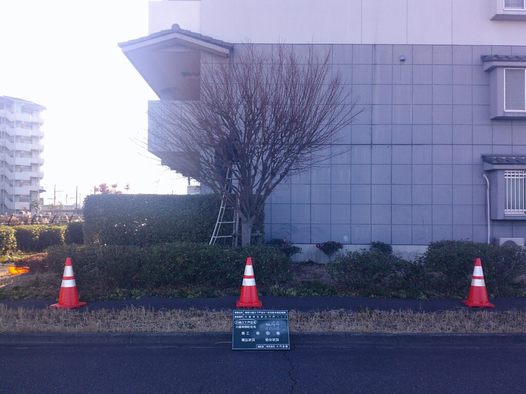 川越市　維持管理　集合住宅　樹木剪定　施工中