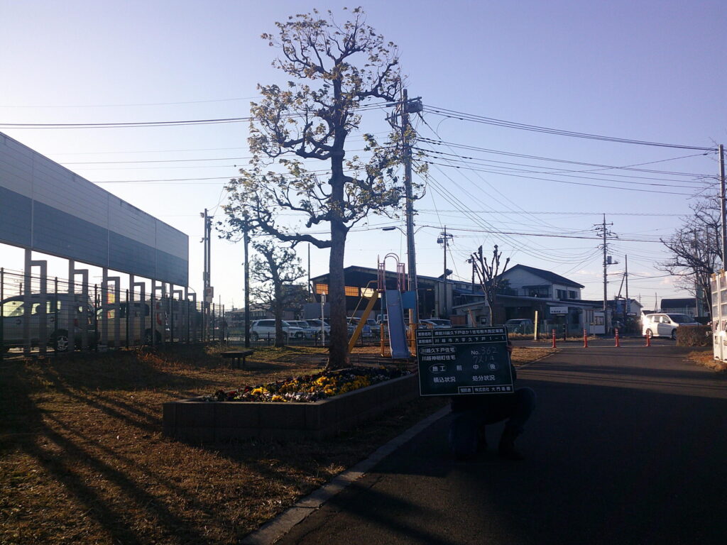 川越市　維持管理　集合住宅　樹木剪定　施工後