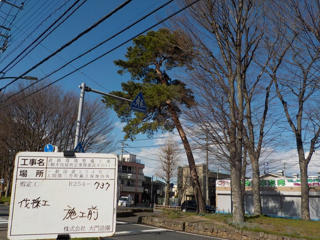 三芳町　維持管理　樹木伐採　施工前