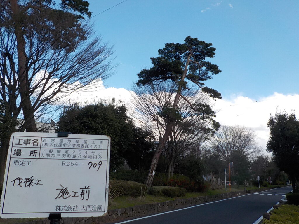 三芳町　維持管理　樹木伐採　施工前