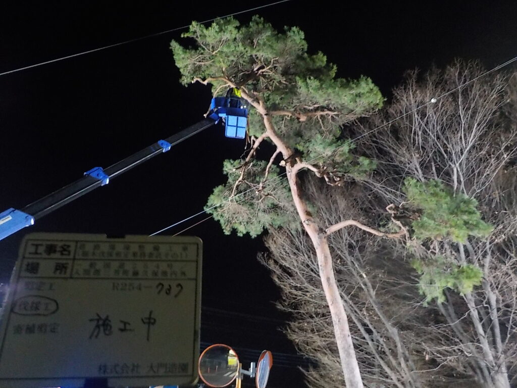 三芳町　維持管理　樹木伐採　伐採作業　夜間作業状況