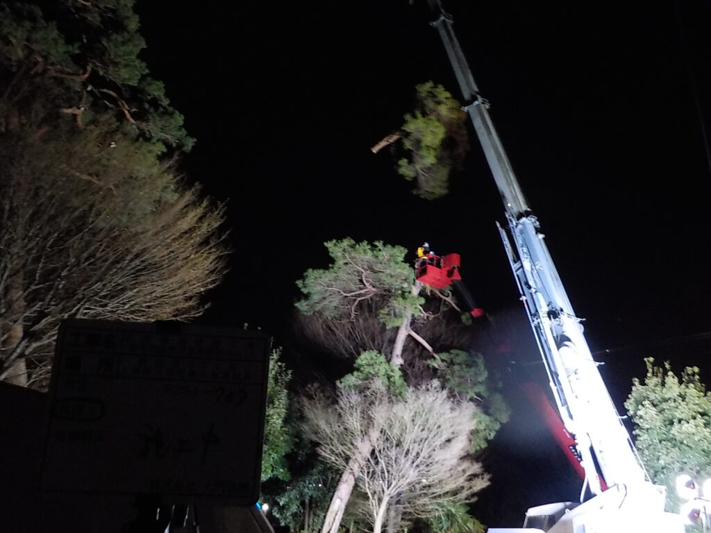 三芳町　維持管理　樹木伐採　伐採作業　夜間作業状況