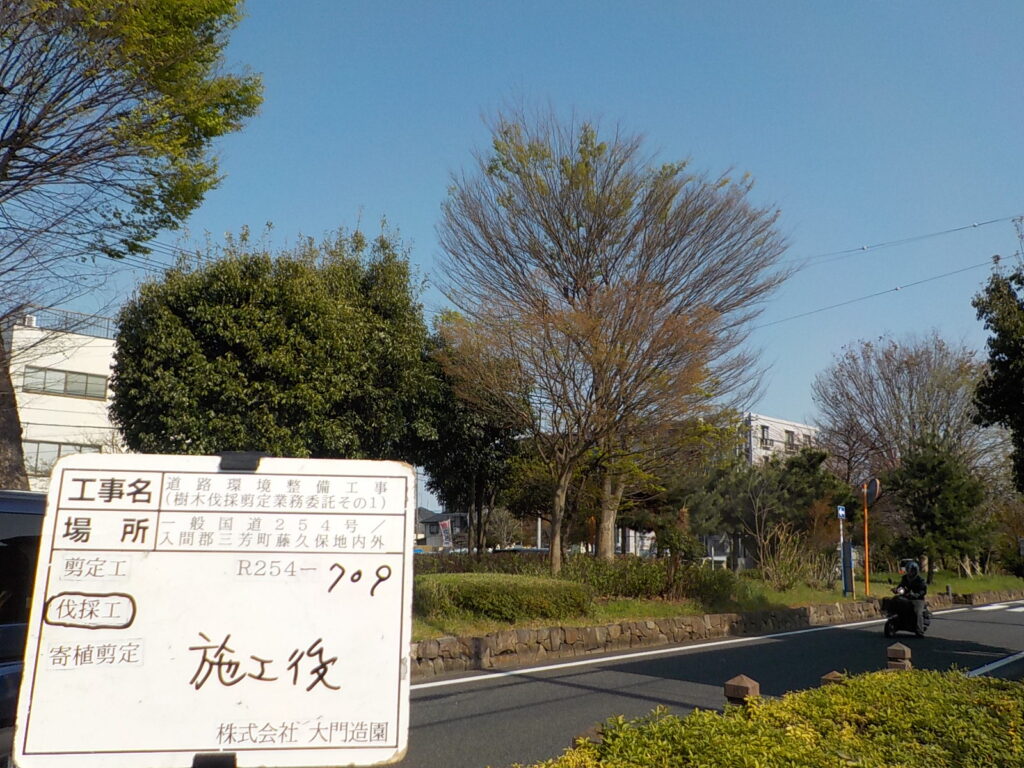 三芳町　維持管理　樹木伐採　伐採作業　施工後