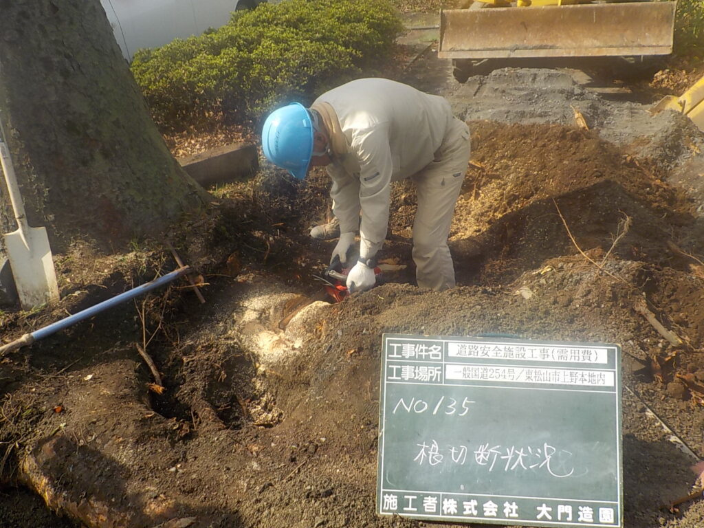 東松山市　造園工事　歩道隆起修繕　街路樹根の切断