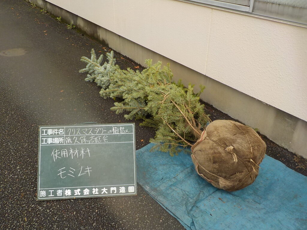 三芳町　造園工事　植栽　もみの木　使用材料