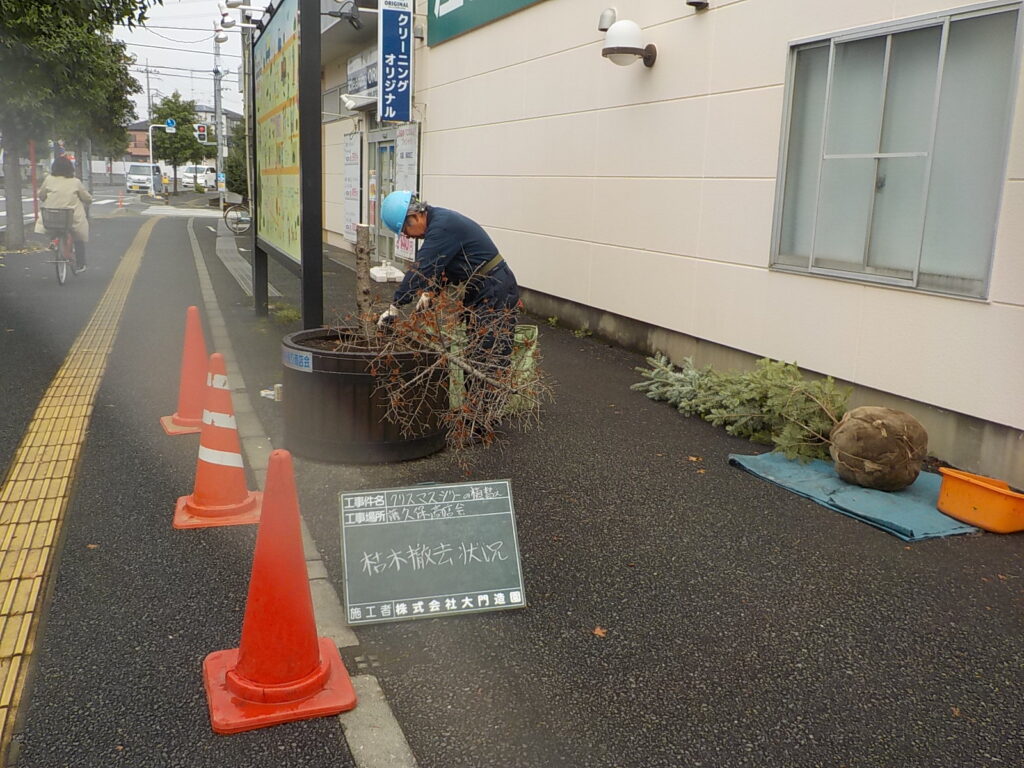 三芳町　造園工事　植栽　もみの木　枯損樹撤去