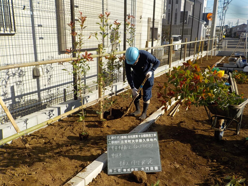 三芳町　公園新設工事　植栽工