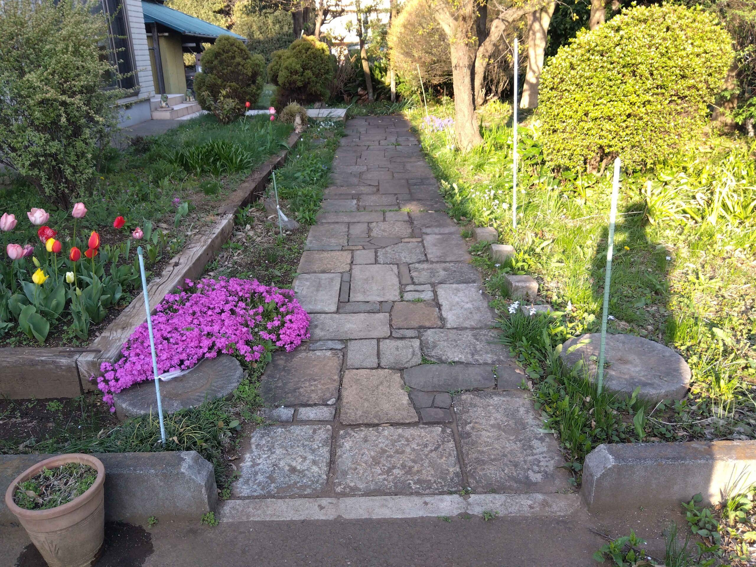 三芳町｜【造園工事】個人様邸　延段工事