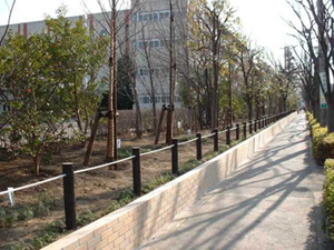 志木市　造園工事　公共事業施工写真紹介