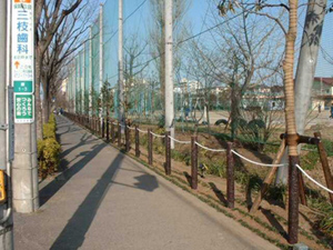 志木市　造園工事　公共事業施工写真紹介