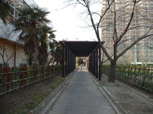 志木市　造園工事　公共事業施工写真紹介