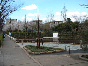 志木市　造園工事　公共事業施工写真紹介