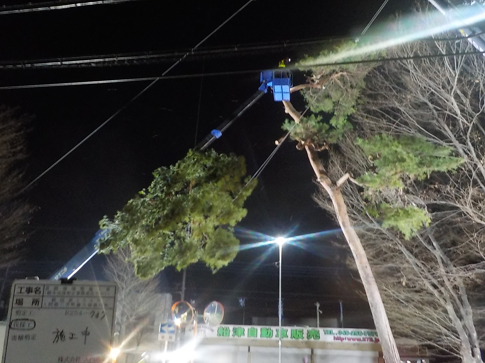 三芳町｜【維持管理】川越街道樹木伐採（夜間）