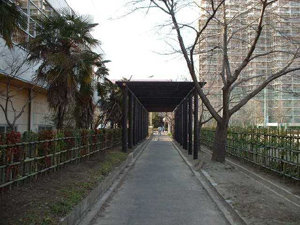 志木市　造園工事　公共事業施工写真紹介