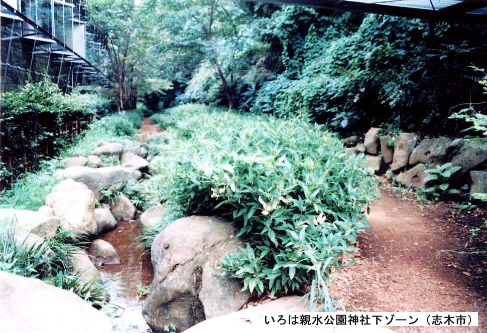 志木市　造園工事　公共事業施工写真紹介