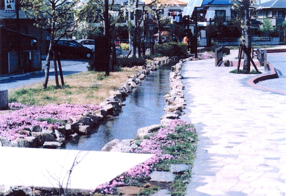 志木市　造園工事　公共事業施工写真紹介