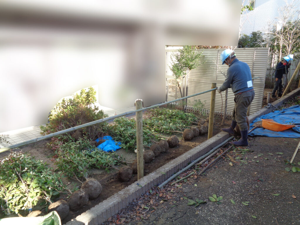 浦安市 造園工事 マンション専用庭 生垣 植替え 施工中
