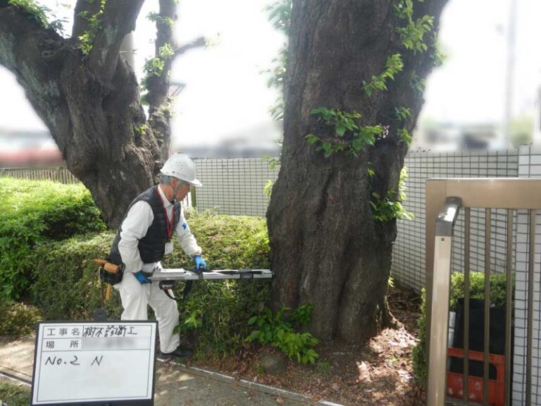 三芳町　診断調査　樹木診断　サクラ