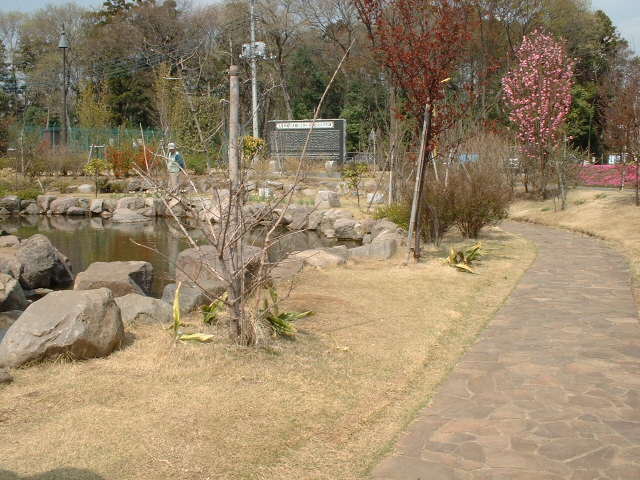 上尾市　造園工事　上平公園　インドネシア丹波石園路