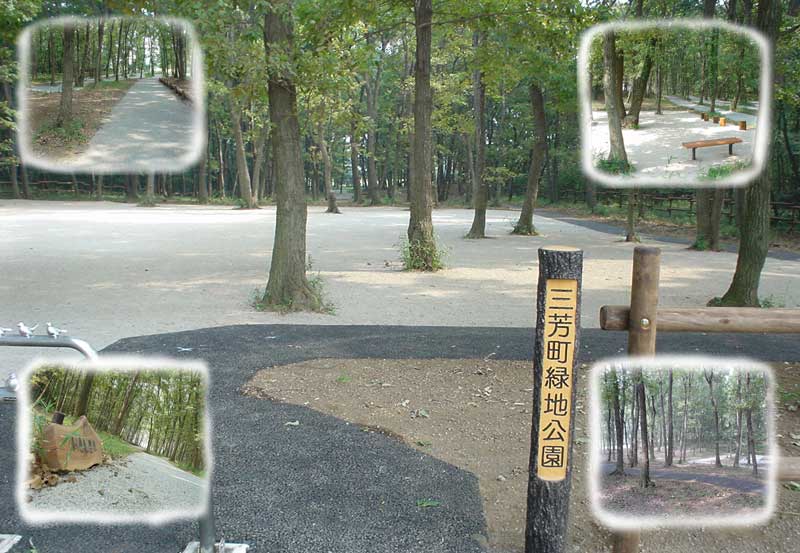 三芳町　造園工事　三芳町緑地公園