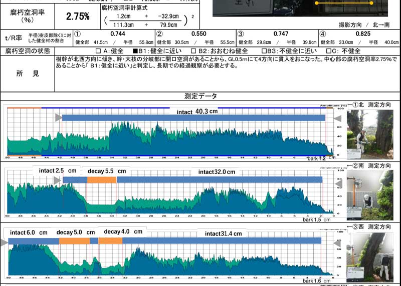 三芳町　診断調査　樹木診断　レジストグラフ　診断カルテ